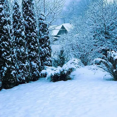 приватна гоф - гірський релакс Hof - Mountain Retreat & Near Dragobrat, Bukovel Inn Yasinya