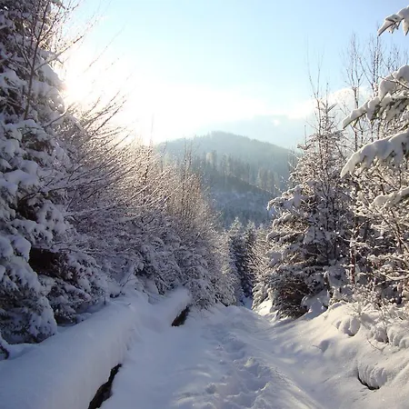 приватна гоф - гірський релакс Hof - Mountain Retreat & Near Dragobrat, Bukovel Inn Yasinya