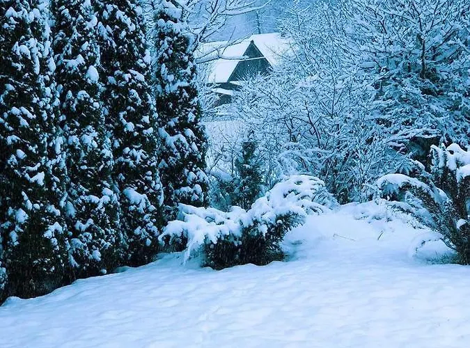 приватна гоф - гірський релакс Hof - Mountain Retreat & Near Dragobrat, Bukovel Zajazd Jasina