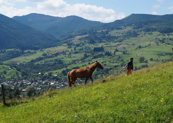 Zajazd приватна гоф - гірський релакс Hof - Mountain Retreat & Near Dragobrat, Bukovel Jasina