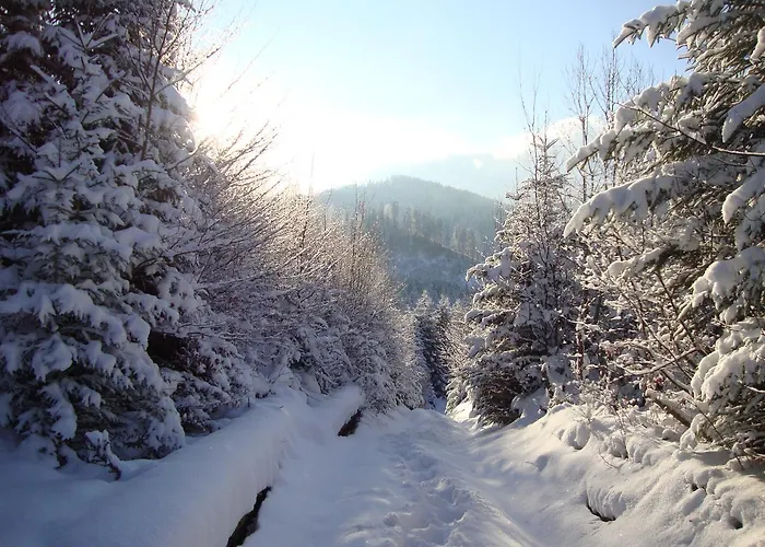 приватна гоф - гірський релакс Hof - Mountain Retreat & Near Dragobrat, Bukovel Zajazd Jasina