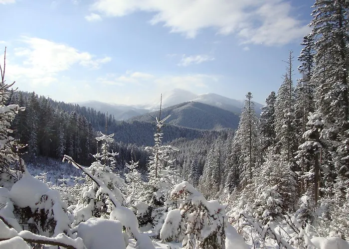 приватна гоф - гірський релакс Hof - Mountain Retreat & Near Dragobrat, Bukovel